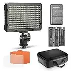 Neewer Dimmable 176 LED Video Light Lighting Kit: 176 LED Panel 3200-5600K, 2 Pieces Rechargeable Li-ion Battery, USB Charger and Portable Durable Case Compatible with Nikon, Sony DSLR Cameras