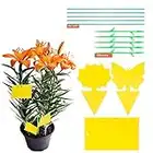 YHmall 30pcs Pièges à Insectes Pièges Engluées Autocollants Colle Double-Face Étanche Jaunes Attrape Mouches Pucerons Blanches pour Jardin Plante Fleur Fruits (3 Formes)