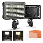 Neewer 176 LED 5600K Ultra Bright Dimmable on Camera Video Light with 1/4-inch Thread Mount for Canon,Nikon,Pentax,Panasonic,Sony and Other DSLR Cameras (Power Adapter or Batteies NOT Included)