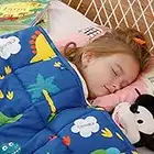 Mr. Sandman Weighted Blanket for Toddler 3 Pounds Washable, Best for 20-40lb Kids Breathable Cotton Heavy Blanket with Nontoxic Glass Beads - 36" x 48" Dinosaur Park