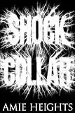 Shock Collar: An Electrifying Story of Gay Revenge