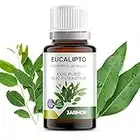 Integratore di Eucalipto Olio Essenziale 100% puro 10 ML | Uso Interno Terapeutico e Alimentare | Uso esterno Diffusori Ambiente Aromaterapia Cosmetica | Jarmor (EUCALIPTO)