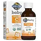 Garden of Life Baby Vitamin C Drops for Infants and Toddlers, Organic Whole Food Liquid Vitamin C 45mg Immune Support for Babies from Amla Fruit, Citrus Flavor, Vegan & Gluten Free, 56 mL (1.9 fl oz)