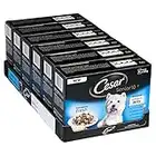 Cesar Deliciously Fresh - Wet Dog Food for Senior Dogs 10+ Mixed Selection in Jelly, 48 Pouches (6 x 8 x 100 g)