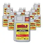 BIOBOR JF Diesel Fuel Additive: Highly Effective Fuel Biocide Supplement, Prevents Corrosion of Fuel Tanks, Increases Lubricity, Dual Phase Chemistry | 12 Pack - 16 Ounce, (BB16EZ12US)