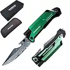 SHUBHADA Damascus Steel Folding Pocket Knives Multi Function Emergency Tool Knives Led Light Magnesium fire starter Seatbelt cutter Glass breaker Bottle opener (Green)