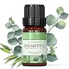 ASAKUKI Eucalyptus Essential Oil 10ml, 100% Pure Natural Aromatherapy Essential Oils, Scented Oils for Diffuser, Humidifier, Relax, Perfect Gifts