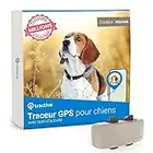 Tractive – Collier GPS pour chien | Élu Produit de l'Année | Localisation en direct | Portée illimitée | Alertes anti-fugue (Marron)