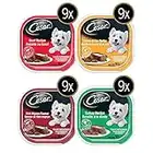 Cesar Food for Small Dogs Variety Product of U.S.A 36 X 100 Grams Net Wt 3600 Grams