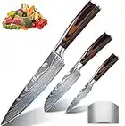 Anhichef Couteau Cuisine, Couteau de Chef Santoku en German Acier Carbone Inoxydable Couteau Paring- Ultra Tranchante couteaux de cuisine - Professionnel Couteau Chef avec Poignée Ergonomique