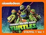 Der Aufstieg der Turtles, Teil 1