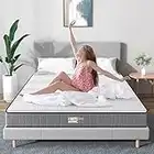 BedStory 6 Inch Twin Mattresses, Hybrid Spring Foam Mattress, CAM-1