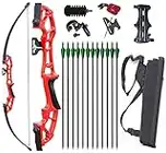 Vogbel 50" Takedown Recurve Bow and Arrows Set Archery Kit Right Hand Longbow for Adult Beginner Practice Hunting Competition (Red,30lb)