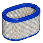 HIFROM Air Filter for Onan 140-2897 1402897 Replaces for Quiet Diesel QD HDKAJ HDKAK HDKAH HQD HQDPA HQDPC Generator Air Cleaner