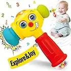 HOLA Baby Toys for 1 Year Old Boys Girls with Rattle, Musical Hammer Light up Music Sound Troddler Kids Toys Age 1 2 3, Grab Shake Pound Activity Sensory Baby Girl Boy Toys 6 12 18 Months