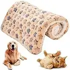 NALCY Cat Dog Crate Pad, Cat Dog Mat, Washable Cat Dog Crate Bed Cushion, Dog Cat Blanket Fleece Pet Pad, Winter Sleeping Bed Comfort for Small Dogs, Pets, Cats (55 * 42 CM)