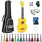 Amdini 21 inch Soprano Ukulele Basswood Acoustic Mini Guitar for Beginner Kid Starter with Case Strap Tuner Picks Strings Primary Tutorial