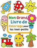 Mon Grand Livre De Coloriage Pour Les Tout-Petits: 100 dessins à colorier simples et amusantes pour les enfants de 1 à 4 ans.