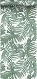 Sanders & Sanders carta da parati foglie di palma verde grigiastro - 935265-0,53 x 10,05 m