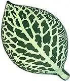 Fittonia Albivenis - Decorative Soft Leaf Shaped 3D Plush/Throw Pillow - Comfortable and Decorative for Bedroom, Chairs, Sofa, Couch/Living Room, Kitchen,Office 12in x 21in Great for Plant Lovers
