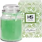 HS Candle Bougie parfumée dans un bocal en verre de noix de coco avec couvercle 16 x Ø 10 cm 500 g