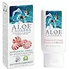 Aloe Cadabra Peppermint Flavored Lube, Natural Personal Lubricant Organic Edible for Her, for Him & Couples, 2.5oz