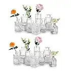 Glasseam Centrotavola da Tavolo in Vetro Piccolo Vaso di Fiori 16 Pezzi Vintage Mini Boccioli di Piselli Dolci Set di Bottiglie Trasparenti A Collo Stretto per Rose Pampa Erba Matrimonio Decorazione