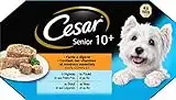 Cesar Barquettes en gelée pour Chien Senior aux 4 saveurs, 24 barquettes de 150g