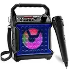 Risebass Portable Karaoke Machine with Microphone - Home Karaoke System with Party Lights for Kids and Adults - Rechargeable USB Speaker Set with FM Radio, SD/TF Card Support, and AUX-In (Blue)