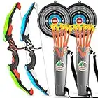 TMEI 2 Pack Set Kids Archery Bow Arrow Toy Set Outdoor Hunting Play with 2 Bow 20 Suction Cup Arrows 2Target & Quiver,LED Light Up Function Toy,for Boys Girls Indoor and Outdoor(Green and Blue)