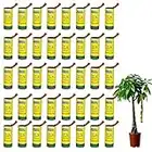 Enposmre 40 Pack Fly Traps for Indoors Outdoor, Fly Paper Strips, Sticky Hanging Fly Tape Catcher Ribbon, Fruit Fly Gnat Trap Killer