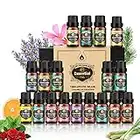 Ätherische Öle Set 18 x 10 ml, Teebaum, Lavendel, Eukalyptus, Weihrauch, Zitronengras, Rosmarin, Orange, Minze, Zitrone, Bergamotte, Ylang-Ylang, Grapefruit, Kamille, Rose, Vanille, Patchouli Salbei