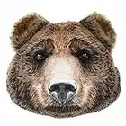JWH 3D Bear Head Throw Pillow Decorative Animal Accent Pillow Pet Print Pillowcase Stuffed Plush Cushion Girls Kids Bed Bedroom Couch Colorful Faux Fur 12x10 Inch Black Brown